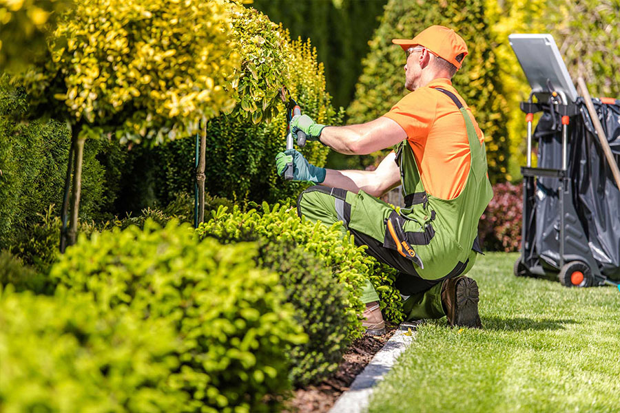 landscaping